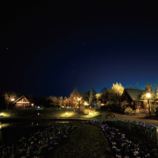 こと座流星群が見頃、キャンプサイトで楽しむ星空のひ ととき(4月22日〜23日未明)