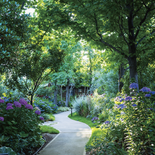 大阪・舞洲「あじさいフェア 2026」開催　あじさい、 夕陽、星空へ~初夏を過ごすガーデンステイ~